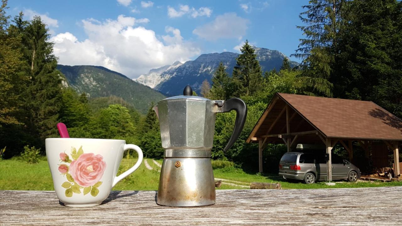 Bovec Home At Three Samoyeds Soča Exteriör bild