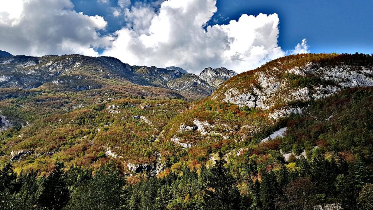 Bovec Home At Three Samoyeds Soča Exteriör bild