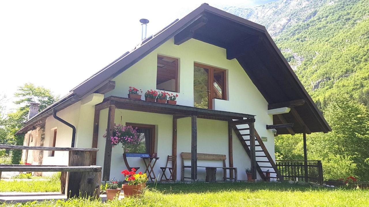 Bovec Home At Three Samoyeds Soča Exteriör bild