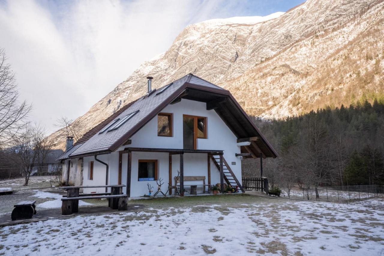 Bovec Home At Three Samoyeds Soča Exteriör bild