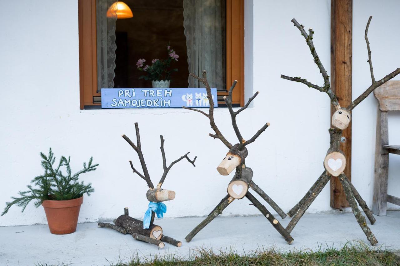 Bovec Home At Three Samoyeds Soča Exteriör bild