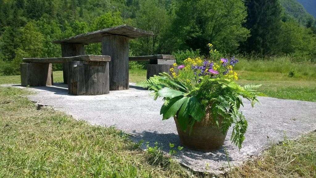 Bovec Home At Three Samoyeds Soča Exteriör bild