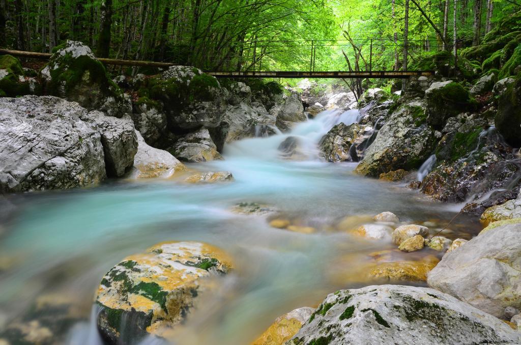 Bovec Home At Three Samoyeds Soča Exteriör bild