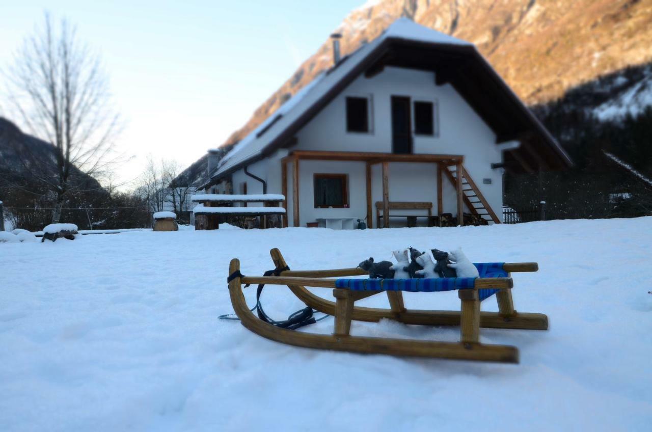 Bovec Home At Three Samoyeds Soča Exteriör bild